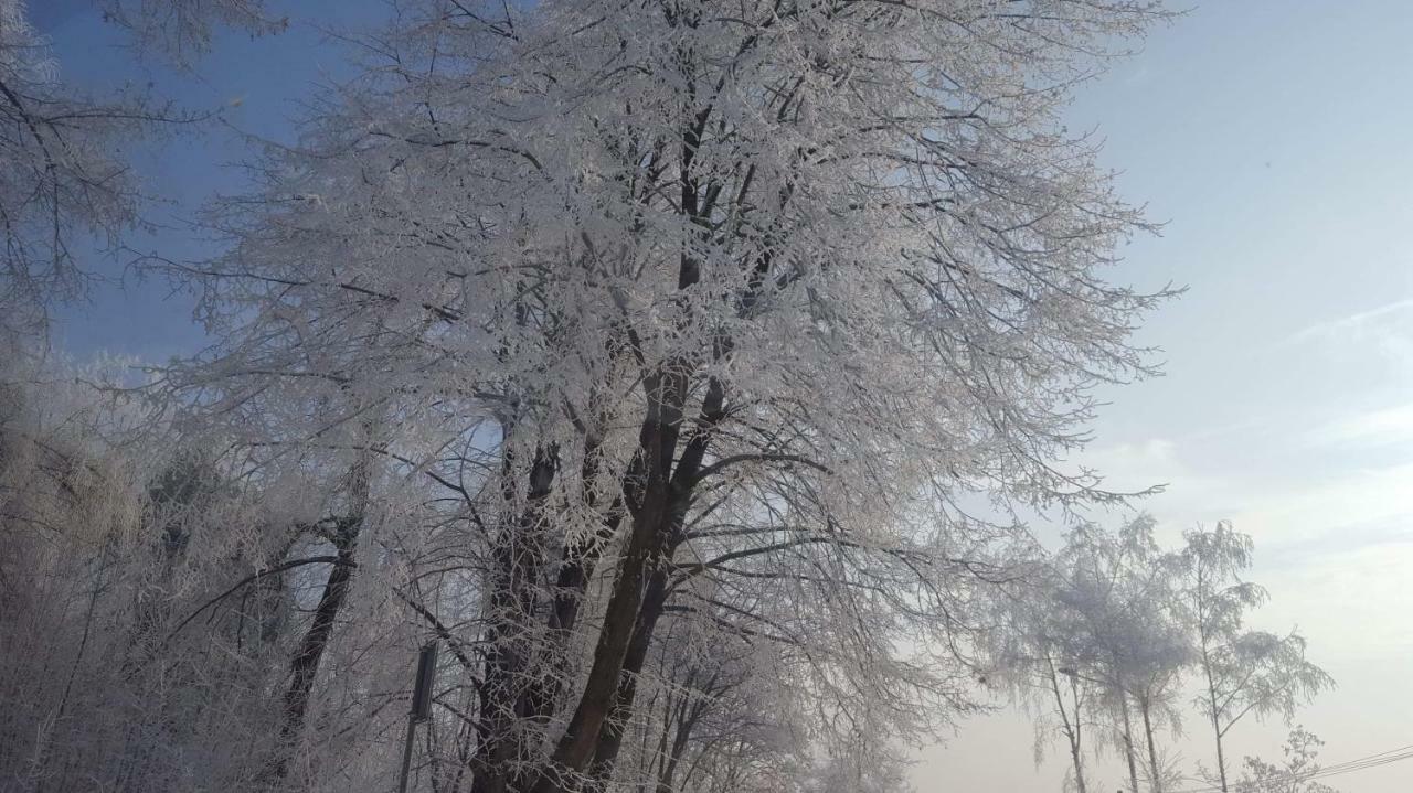 Stas -Przy Szkole Nr 3 W Skawie Скава Екстер'єр фото